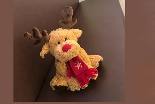 A plüss játékok karbantartása